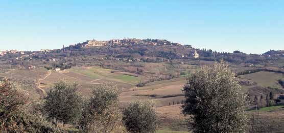 Anteprima Vino Nobile di Montepulciano 2017 4 stelle per la vendemmia 2016 di Rocco Lettieri Un Nobile in buona salute che cresce ancora con la buona reputazione che si sta facendo all estero ha