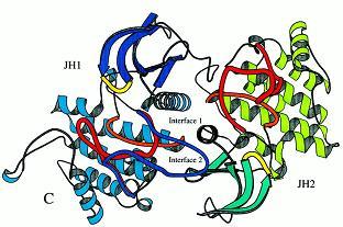 Biologia delle malattie La crescente complessità genetica delle malattie