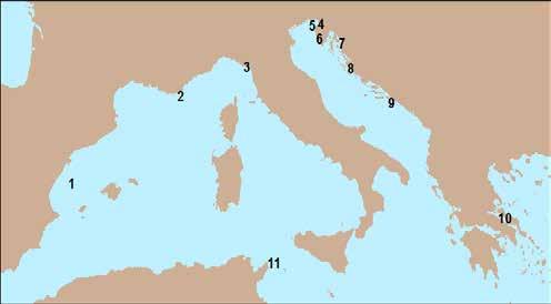 Barriere di madrepora a cuscino Nel mare sloveno sono oggi note due grandi formazioni biogene, sulle quali abbiamo eseguito numerose campionature nell ambito del progetto TRECORALA.