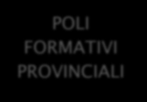 POLI FORMATIVI