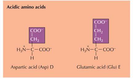 Aminoacidi polari carichi acidi (al ph tipico dei liquido biologici, ~ 7) Polari ma privi di carica Non