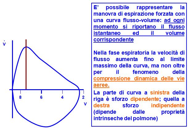 Curva