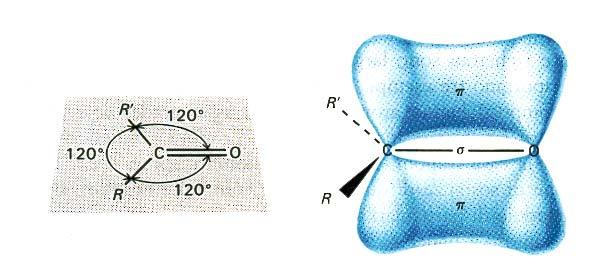 Gruppo carbonilico L atomo di carbonio carbonilico è ibridato sp 2 e forma angoli di legame di