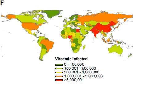 HCV global distribution 115 150 million people globally have chronic hepatitis C infection.