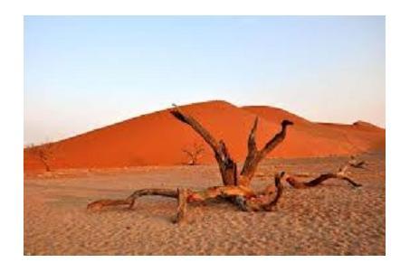 7 GIORNO - SWAKOPMUND - WALVIS BAY: SANDWICH HARBOUR (30 KM CIRCA) Tempo di percorrenza: circa 30 minuti.