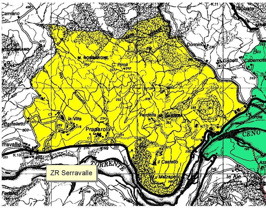 pag 74 ZR Serravalle - Comune Varano Melegari; Sup 313.