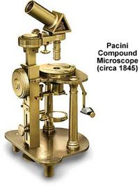 Microscope time-line 14 th century - si sviluppa in Italia l arte di lavorare le lenti 1595 - Hans e
