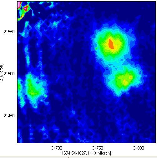 Z ~200 micron imagine IRrisolta in tempo, di due cellule misurata a Frascati con