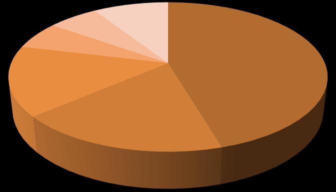 Campioni (6/6) Aspetti degli ibridi organizzativi in cui si riscontra maggiormente innovazione «radicale»: Strumenti finanziari 6,1% Competenze risorse umane 6,1% Altro 8,9% Nuove filiere/nuovi