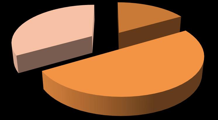 Non ancora raggiunto 68,4% Già raggiunto 31,6% Poco meno di 1 su 3