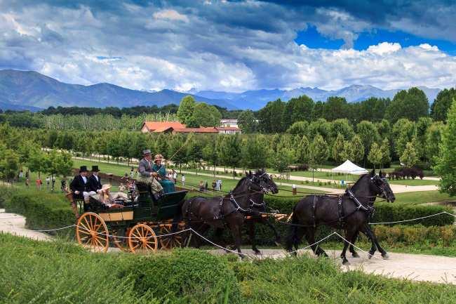 Cavalli e carrozze da fiaba alla Venaria Reale Sabato 17 e domenica 18 giugno, Giardini della Reggia e Parco La