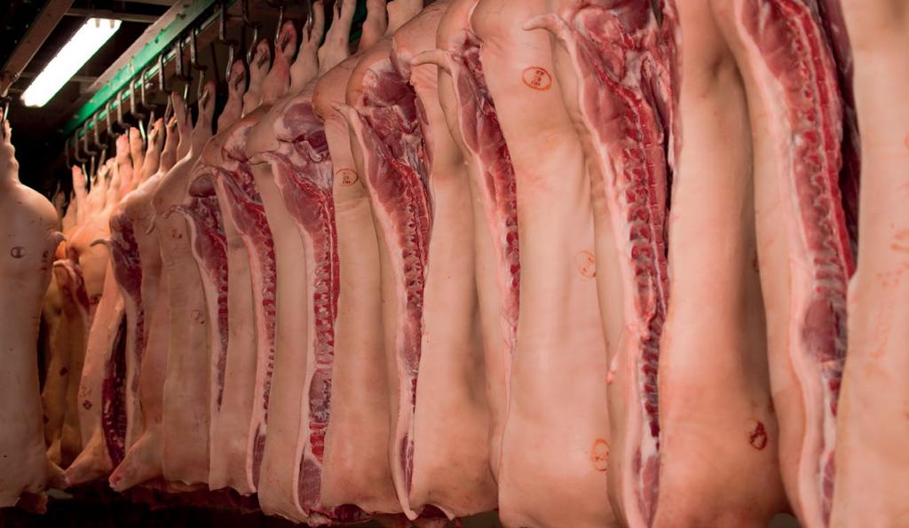 con stinco PORK SIDES / MEZZENE SUINE PORK CARCASSES EGW S / E1 / E2