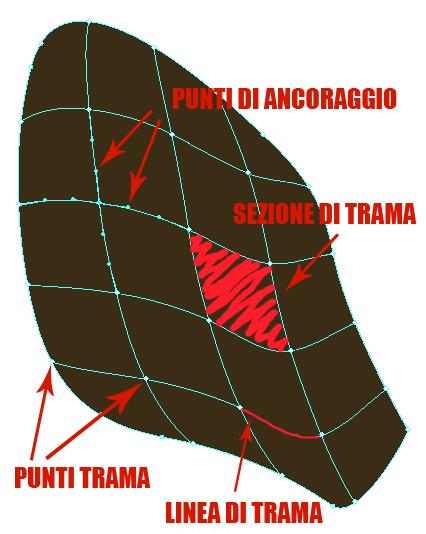 i punti trama: sono i nodi d intersezione tra le linee della trama. Con lo strumento Selezione diretta è possibile spostarli, aggiungerli, cancellarli o dargli un colore.