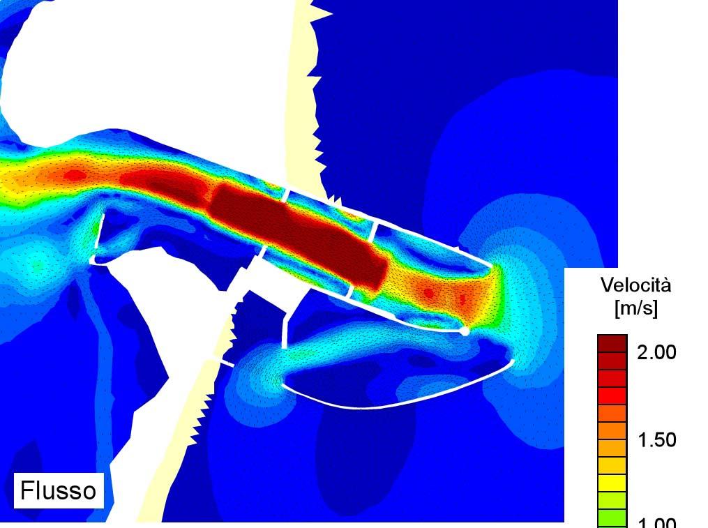 11 Figura 13 Distribuzione spaziale delle velocità istantanee calcolate dal modello nell istante di massimo flusso e