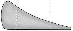 genicolate formano un plesso