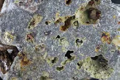 RITROVAMENTO DI FERRIERITE A CAPRANICA (VT) Roberto Begini, Roberto Pucci Gruppo Mineralogico Romano Riassunto In un incluso di natura lavica grigiastro di aspetto spugnoso, rinvenuto nel materiale