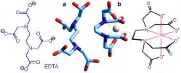 Legami multidentati Vengono chiamati agenti chelanti quei composti che contengono più di un atomo donatore, per esempio: etilendiammina (en), dietilentriammina (dien), trietilentetraammina (trien).