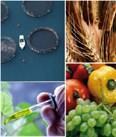 Opportunità per imprese: Ricerca HORIZON 2020: transizione vs Bioeconomia Food security, sustainable agriculture marine e maritime research & bioeconomy (3,8 Mld ) Agricoltura e silvicoltura
