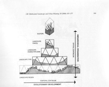 Processo gerarchico di lettura del mosaico paesistico Il processo di lettura del paesaggio : dalla macroscala alla mesoscala sino all