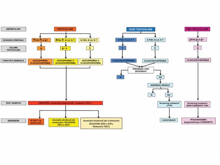 Figura 1: Test genetici nelle tre classi eziologiche.