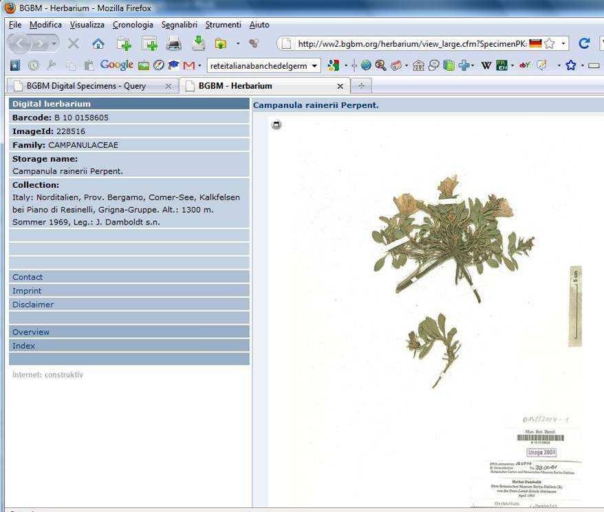 Banche dati area BOTANICA Herbarium Tridentinum (TR) - 150,000 campioni - principale archivio storico dell'attività dei botanici trentini dal 1800 ad oggi, con dati verificabili sulla distribuzione