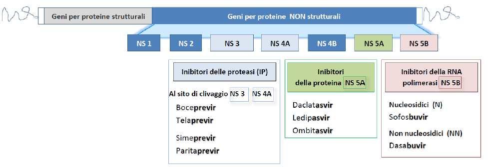 FARMACI ANTIVIRALI DIRETTI