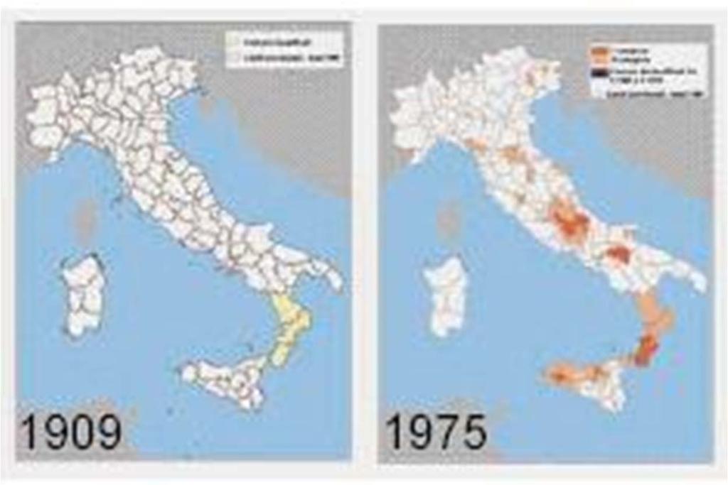 Evoluzione delle NORMATIVE per la progettazione delle strutture in zona sismica CLASSIFICAZIONE SISMICA DEL TERRITORIO Prima