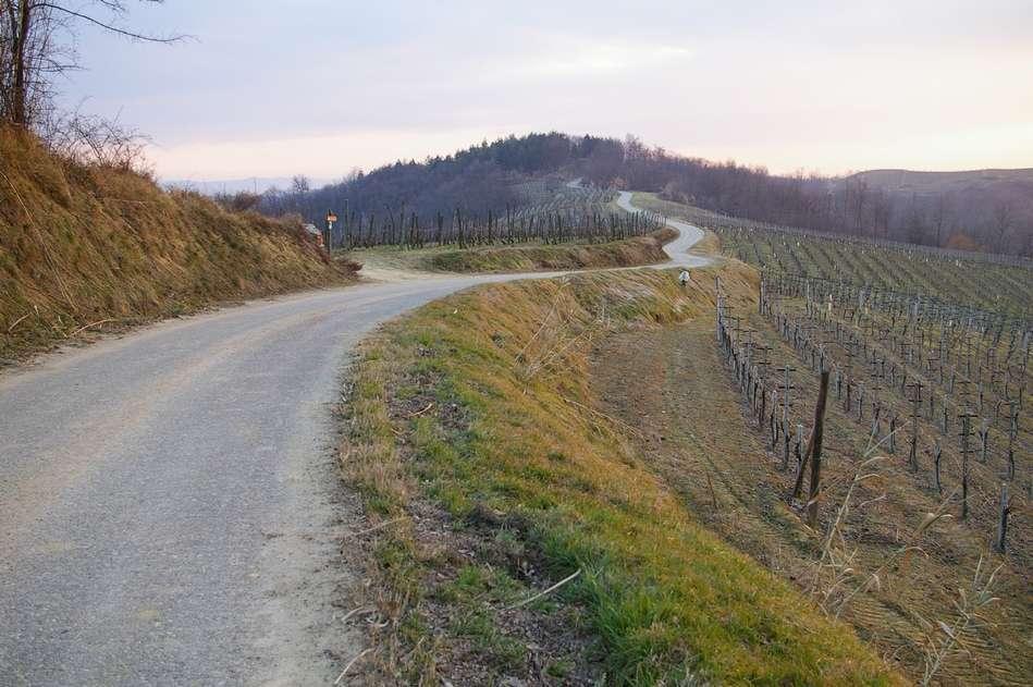 La qualità dei paesaggi I paesaggi di pregio sono quelli che denotano un intervento equilibrato dell'uomo sugli elementi naturali, sono