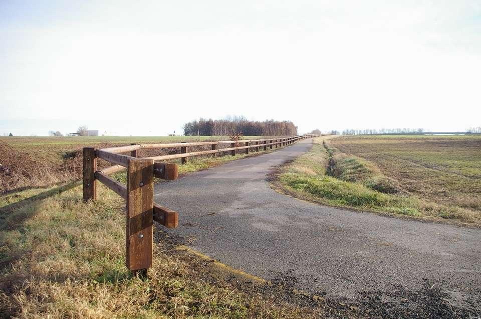 REALIZZAZIONE DELL ALBERATA DI TIGLI LUNGO LA NUOVA PISTA CICLABILE DI VILLANOVA D ASTI (AT)