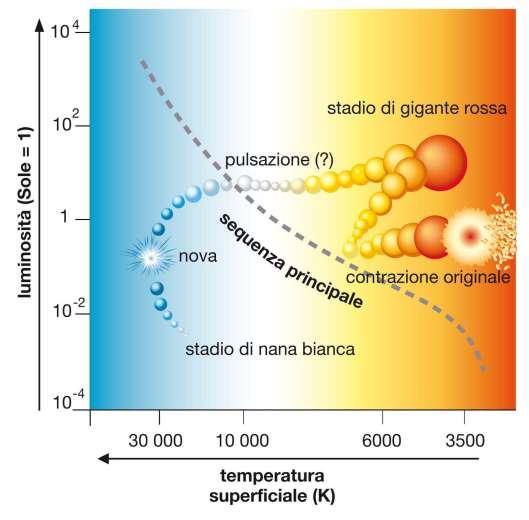 4. La vita delle stelle Le posizioni che verrebbero occupate nel diagramma H-R da una stella, di massa simile a