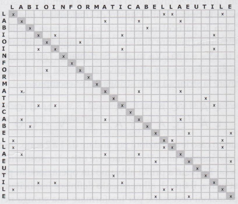 Il Dot Plot (matrice a punti) Una rappresentazione grafica della similarità tra due sequenze.