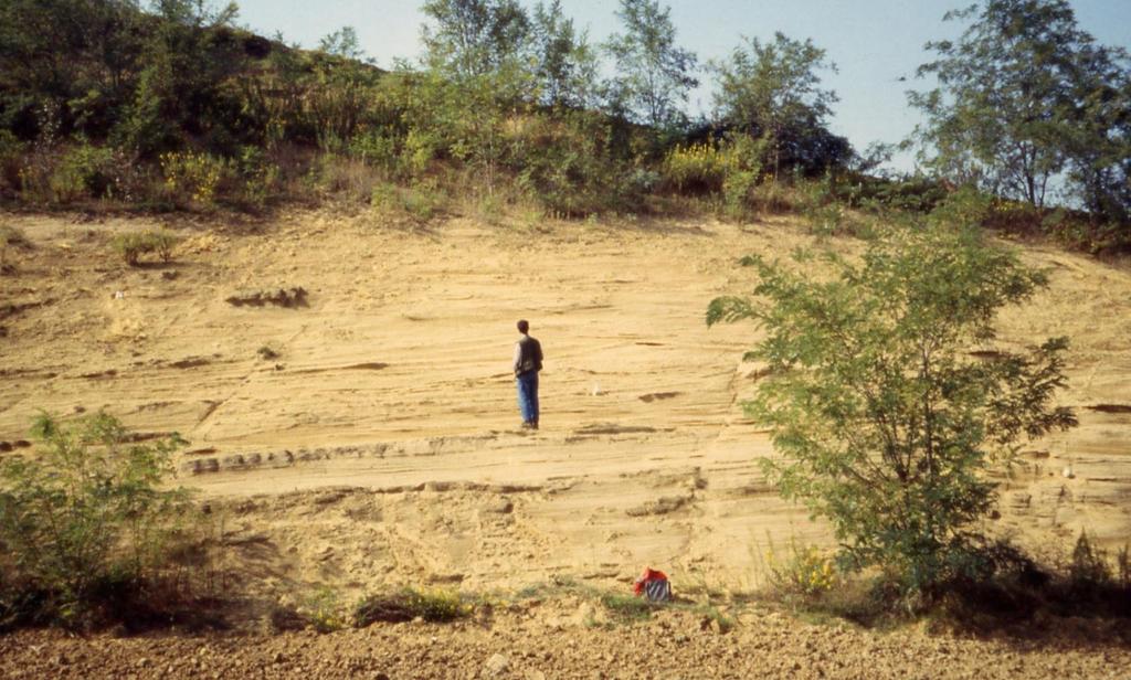 Contatto erosivo e discordante tra le IMO e le ghiaie di conoide alluvionale