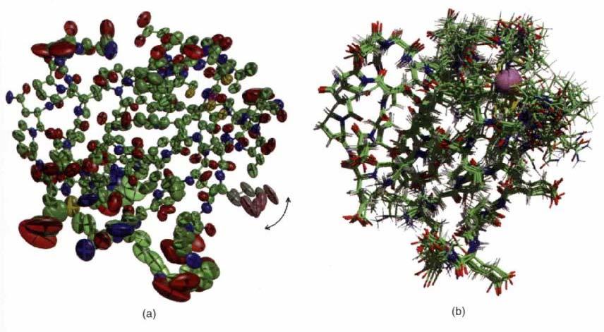 Scelta del templato Criteri: X-ray o NMR?