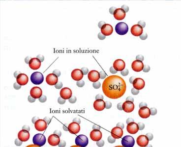 PROPRIETÀ DELLE SOLUZIONI Quando un solido ionico (in questo caso il solfato di