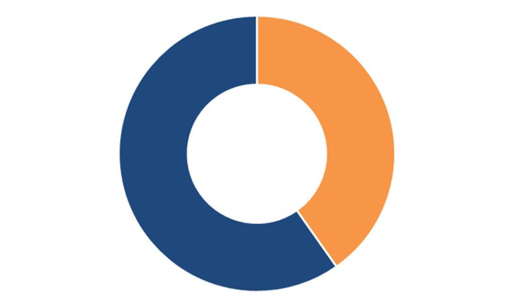 I numeri dell industria farmaceutica in Italia Struttura dell industria farmaceutica in Italia per nazionalità del capitale (% sul totale) 40% a capitale italiano Circa 200