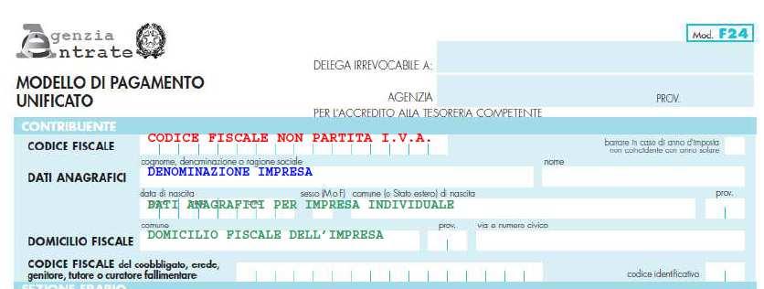 Cassa automatica Questa modalità di pagamento viene utilizzata all atto dell iscrizione telematica dell impresa/del soggetto/dell Unità Locale.