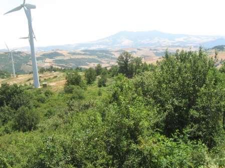 parte dei pascoli accertati in questa zona sono in realtà cespuglieti fitti, derivanti da seminativi abbandonati, o arboreti