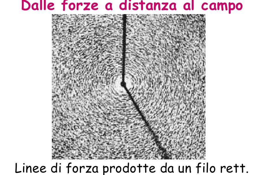 Le linee di campo magnetico divengono visibili quando si cosparge