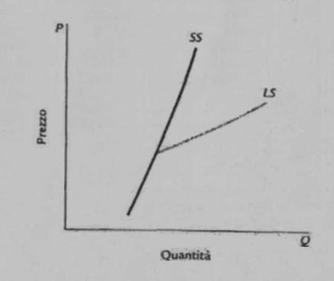 La curva di offerta del settore nel lungo periodo LS è più piatta di quella di breve