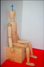 In posizione seduta e in appoggio alla parete, il bacino in retroversione, il mento in posizione retratta e le braccia lungo i fianchi: esegui un auto-allungamento della colonna