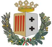 Provincia di Reggio Calabria Segreteria/Direzione Generale ELEZIONE DEL CONSIGLIO METROPOLITANO