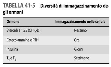 L ormone parotideo (PTH) costituito da 84 a.a., come l insulina, è sintetizzato come prepro PTH con sequenza leader (altamente idrofobica) e una sequenza C terminale.