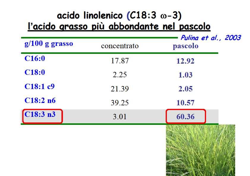 Effetti del pascolo sulla