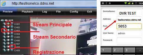 Abilita: selezioniamo la casella per abilitare il servizio Tipo Server: selezioniamo dal menu a tendina il sito al quale ci siamo registrati: NO-IP Nome Server: inseriamo DDNS.