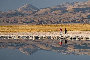 CILE L'ESSENZIALE: ATACAMA E PATAGONIA 10 giorni a partire da 3305pp Programma best seller dinamico, essenziale e low cost: Santiago del Cile con Valparaiso, il Deserto di Atacama con le Lagune, il