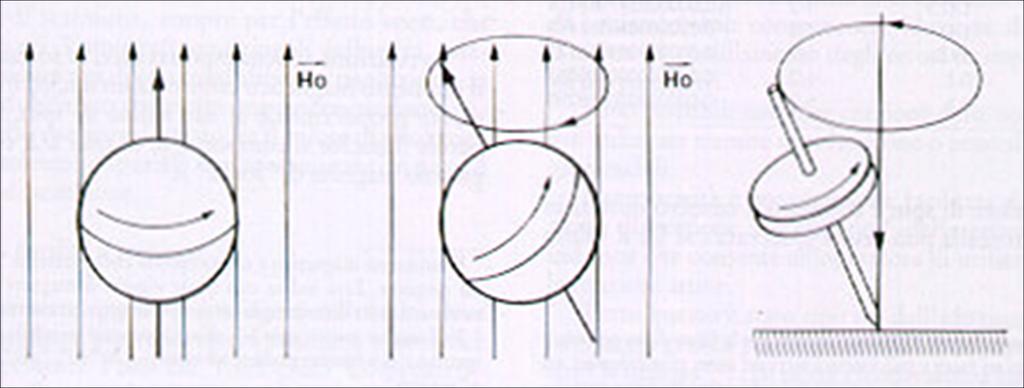 Risonanza Magnetica L interazione del momento magnetico nucleare dei protoni con il campo magnetico induce