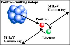 Positron Emission Tomography (PET) Indagine medico-nucleare che utilizza molecole