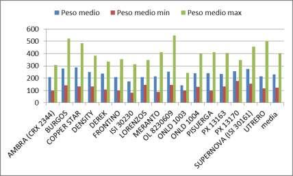 Varietà Peso medio Peso medio min Peso medio max Diametro medio Altezza media Numero tuniche media AMBRA (CRX 2344) 210 99 308 72 75 11,0 BURGOS 279 142 521 81 78 11,0 COPPER