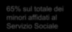 102 minori affidati al Servizio Sociale Professionale 23% sul totale dei minori seguiti 22% stranieri 1.