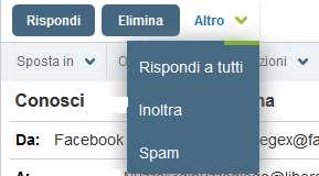 Inoltrare un messaggio il comando Inoltra permette di inoltrare il messaggio ricevuto così come si presenta ad un altro indirizzo che dobbiamo però aggiungere nella casella dell indirizzo.